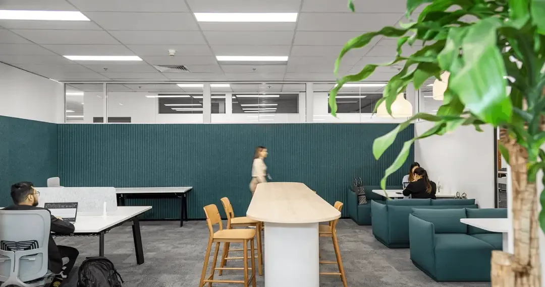 Breakout Zone are informal areas where students can relax, study, or collaborate on group projects