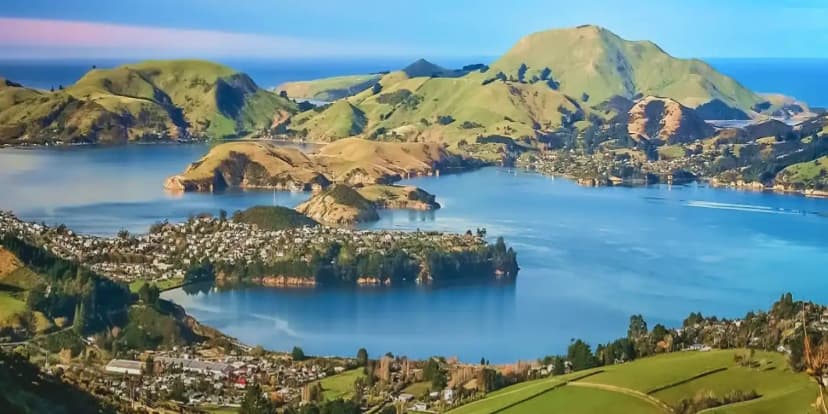 Dunedin