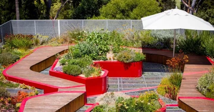 Green Roof