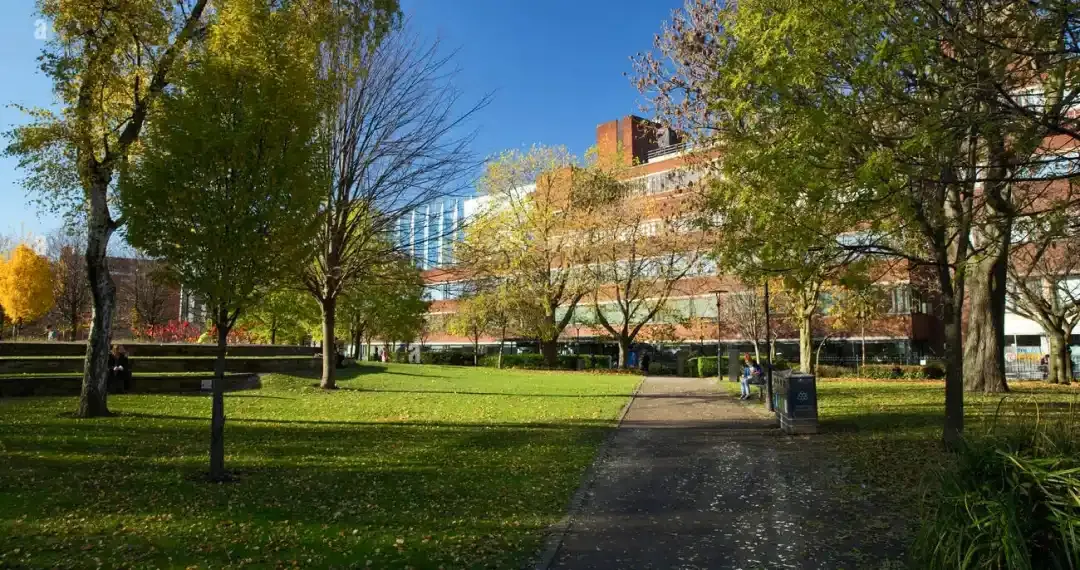 All Saints Park is a small but charming green space often student use for picnics, reading, or casual gatherings