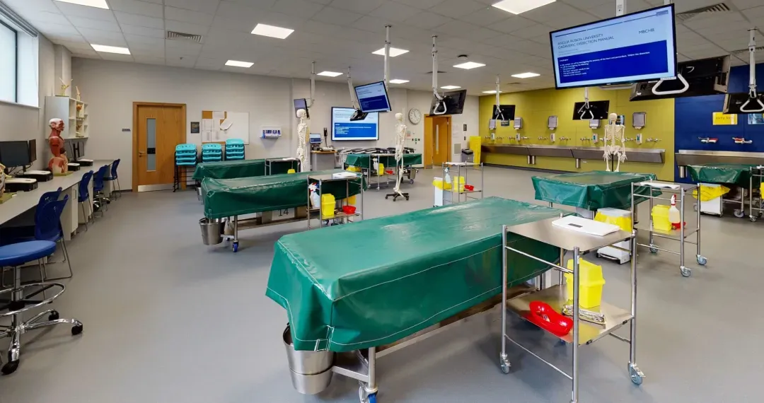 Anatomy Suite a virtual dissection table offering high-resolution 3D images of the human body