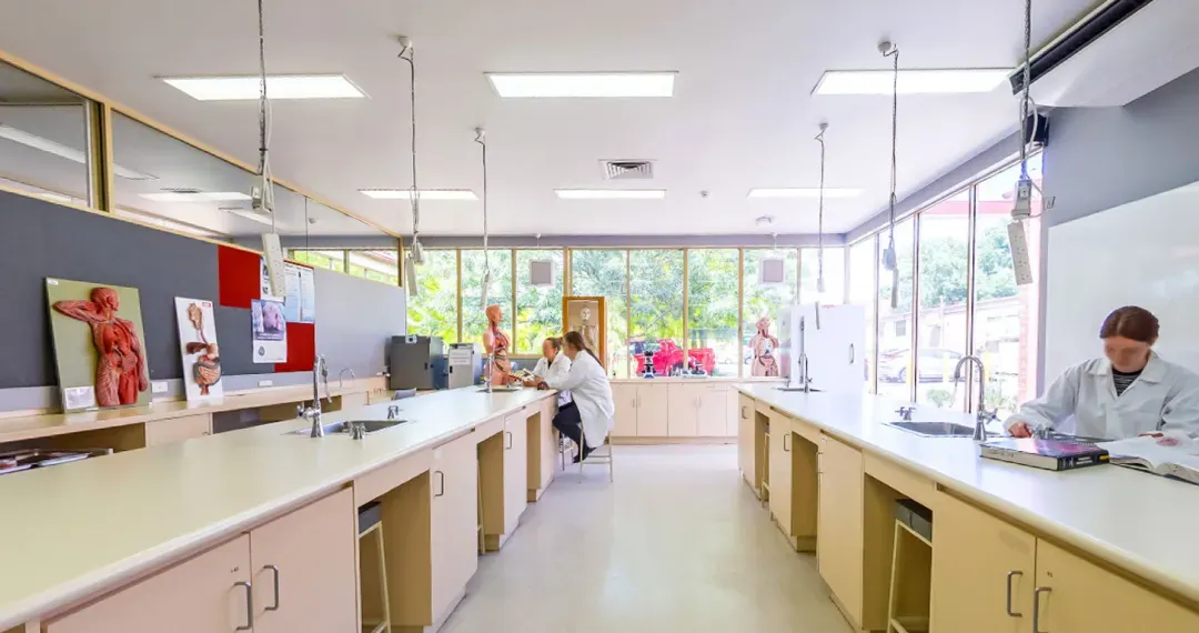 Ballart Biology Lab, students have access to anatomy labs to handle wet specimens and perform anatomical