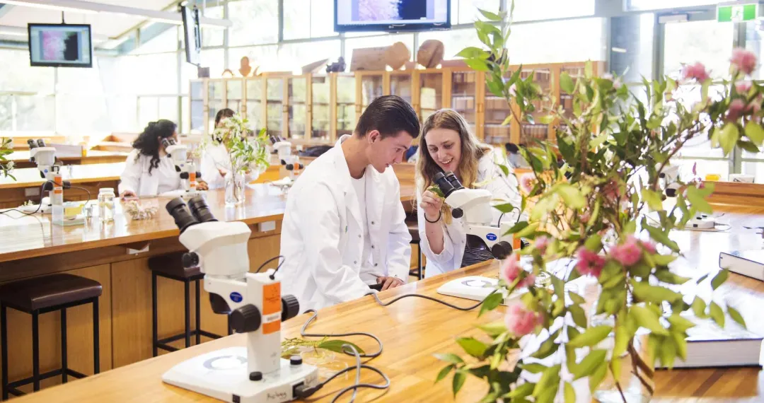 Biology Lab is used to examine both land and marine specimens using specialised microscopes