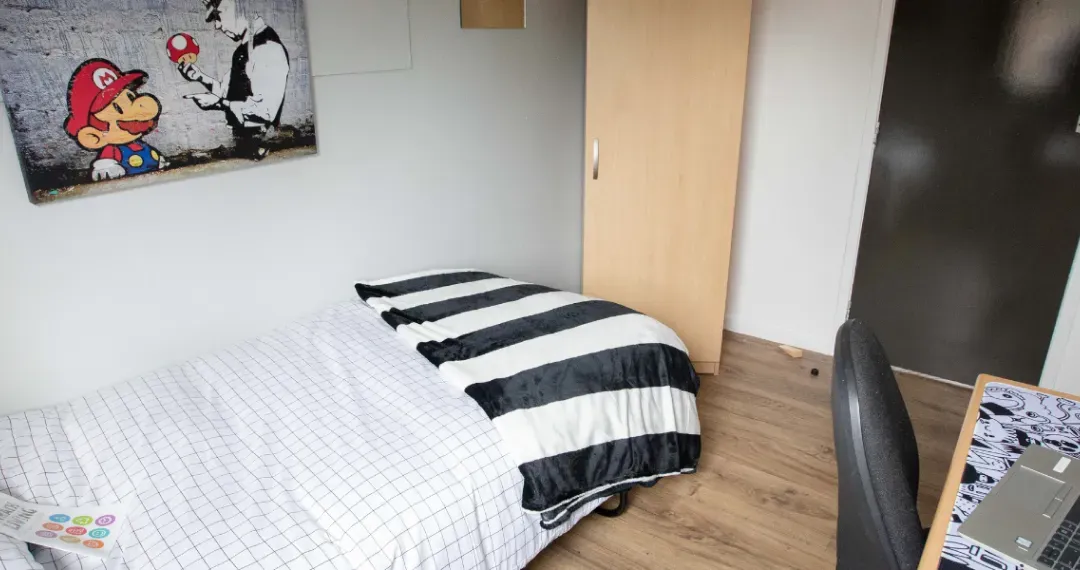 Birkbeck Court mainly provides standard single rooms in shared flats while sharing a communal kitchen and dining area