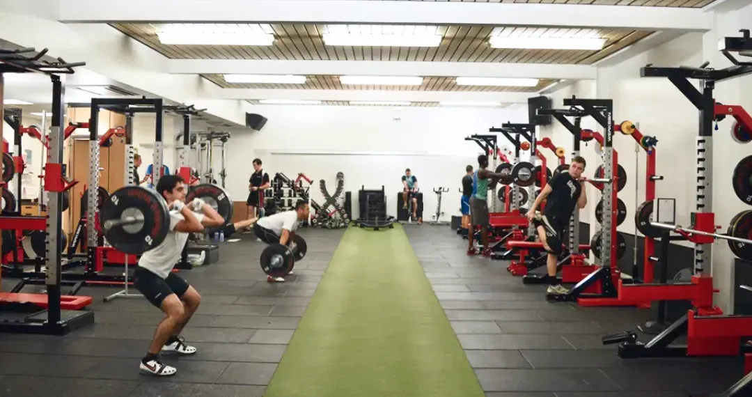 Fitness Suite dedicated space with platforms, squat racks, and Olympic weights for advanced strength training