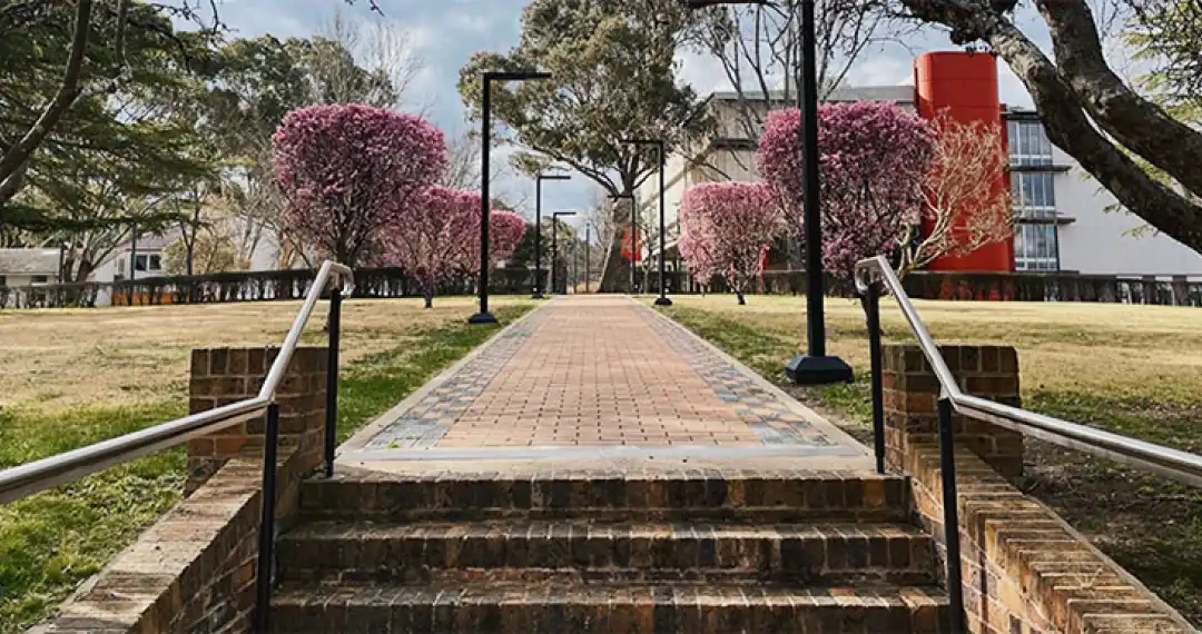 Graduates' Walk, is set in a scenic part of the campus, often surrounded by natural elements