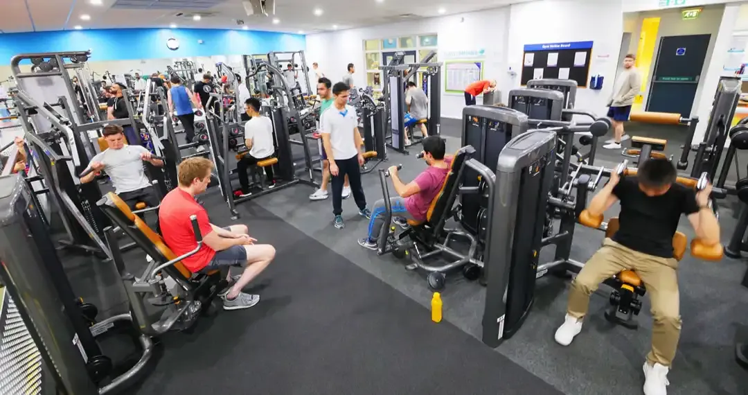 Danielle Brown Gymnasium, split level gym featuring weight and resistance, cardio, and stretch areas