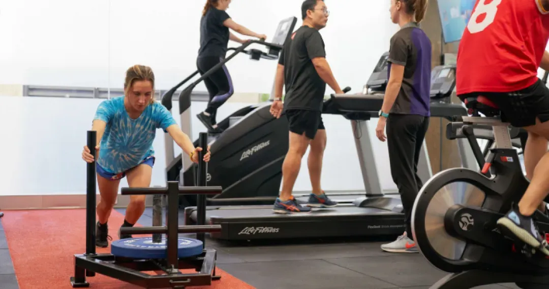 Gymnasium, with separate zones for different types of exercise, such as cardio and strength training