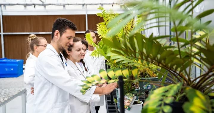 Science Greenhouse, with temperature control managed through a wet wall, extraction fans and adjustable air flow
