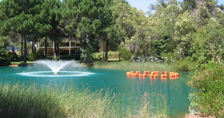 Large lake in the middle of campus. Has seating the entire way round and deck chairs set up in summer