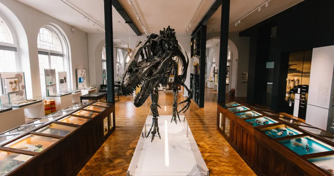 Lapworth Museum of Geology holds the finest and most extensive collections of fossils, minerals