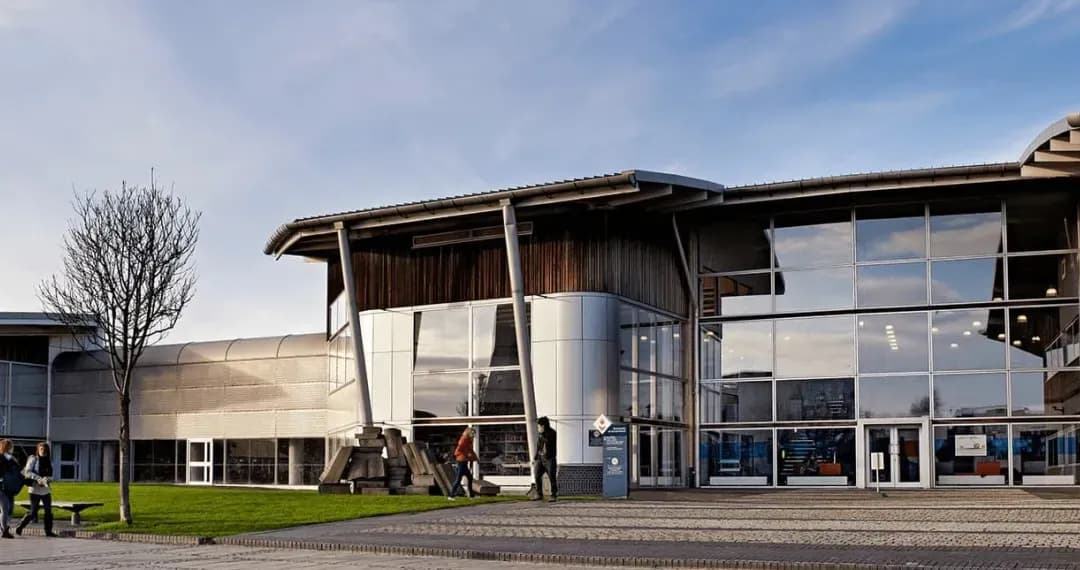 Library at David Goldman