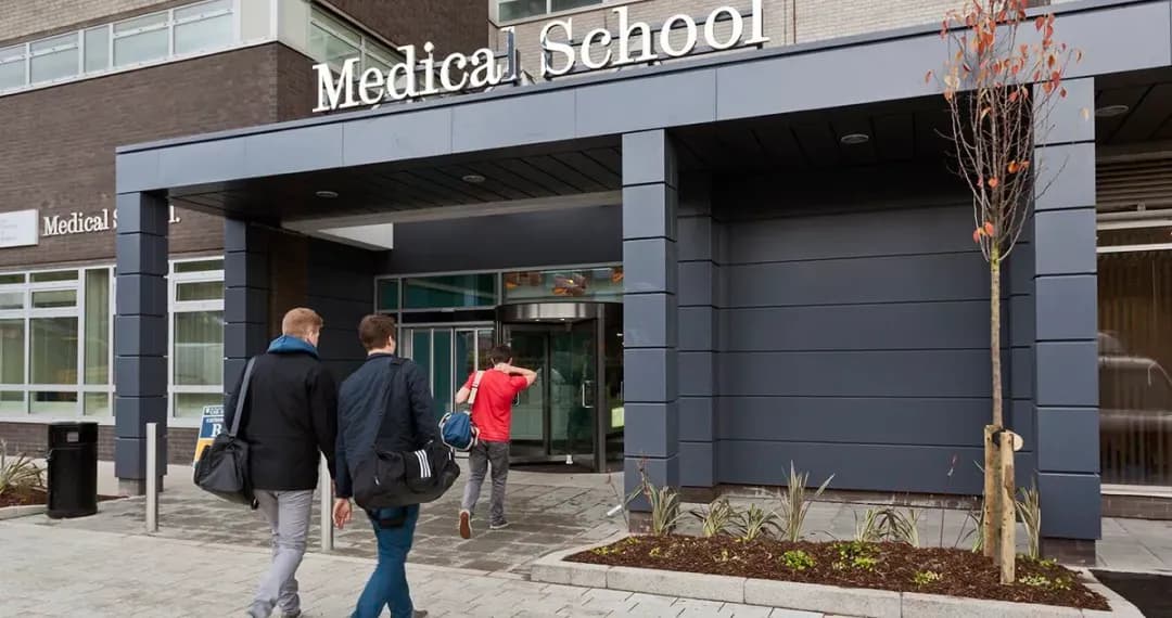 Medical School is a prominent part of focused on medicine, dentistry, and healthcare