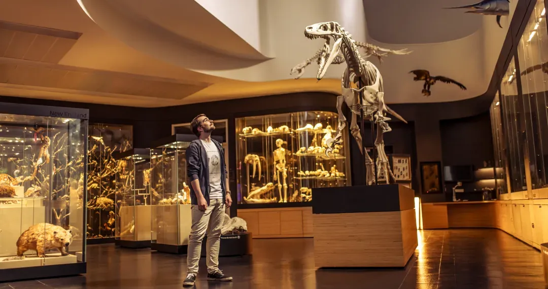 Natural History Museum is a key attraction on campus, dedicated to the study and display of the natural world