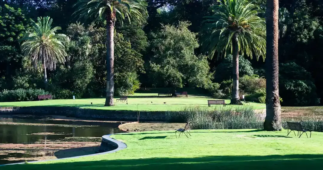 Royal Botanic Gardens Victoria is a pleasant place near the city centre to stroll and relax on a fine day