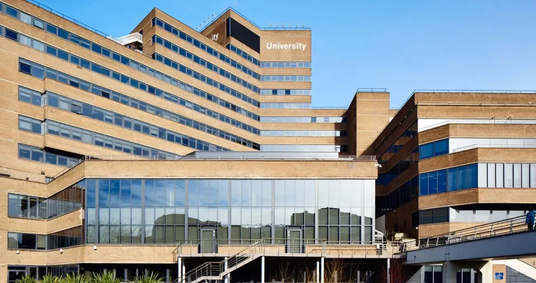 Schwann includes study areas, collaborative workspace, and quiet zones for individual learning