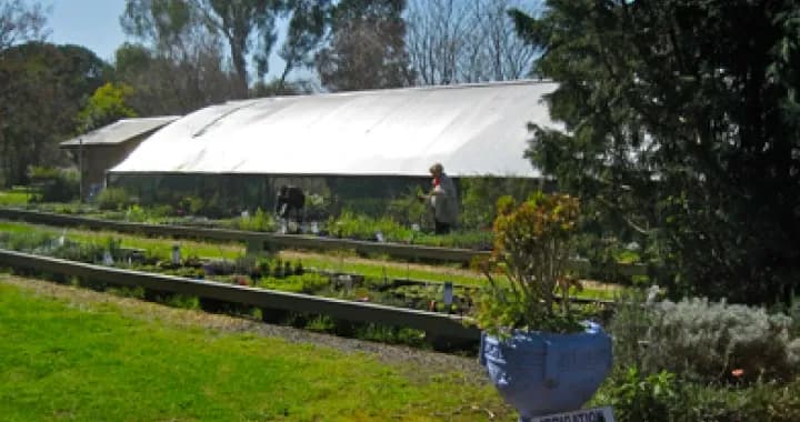 Featuring hundreds of species of plants; including rarities and natives the nursery