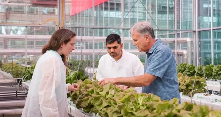 Agriculture in action at Western’s experimental field sites, include farm dams, climate-controlled plant-growth cabinets