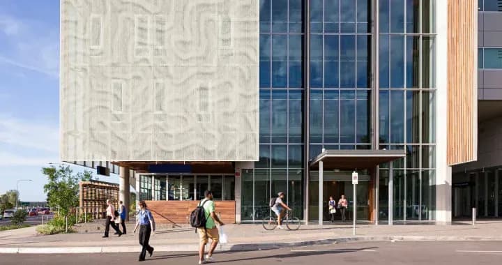 Professional experience placement is a crucial and formal component of any medical, health or veterinary