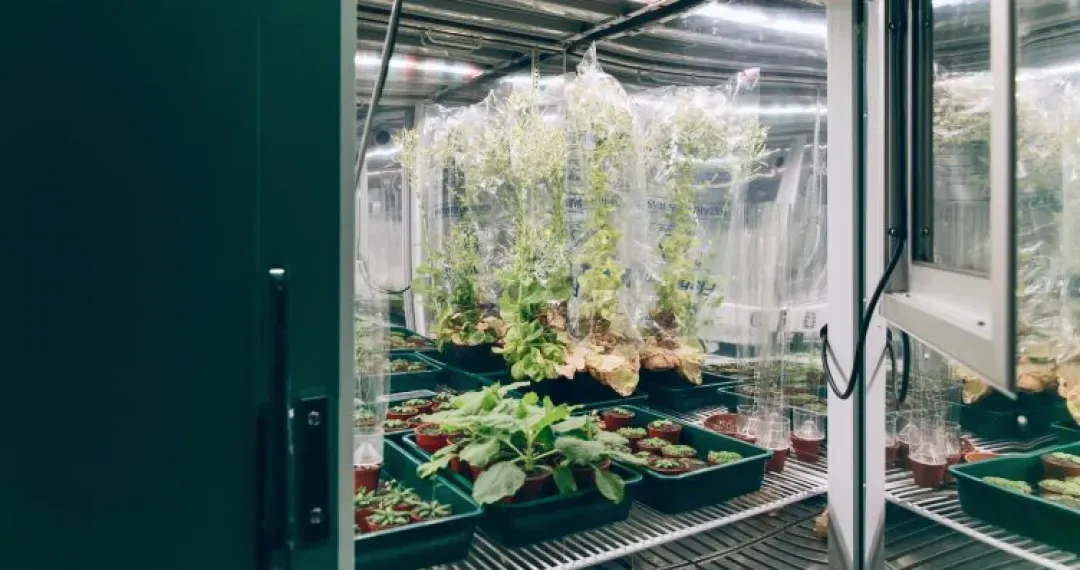 The Sir David Read Controlled contains 68 individual rooms and chambers, capable of simulating virtually