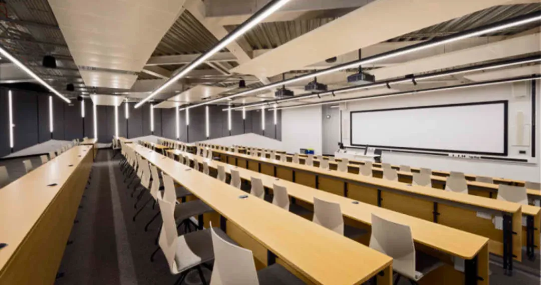 The auditorium is likely to host a range of events related to social sciences, including guest lectures, presentations