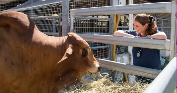 Veterinary Farm, passion for farm life leads to vet science, learning through practical placements