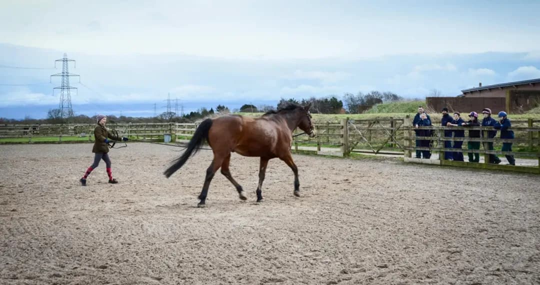 Wood Park Farm is a working farm where students receive practical training in the care and management of farm animals