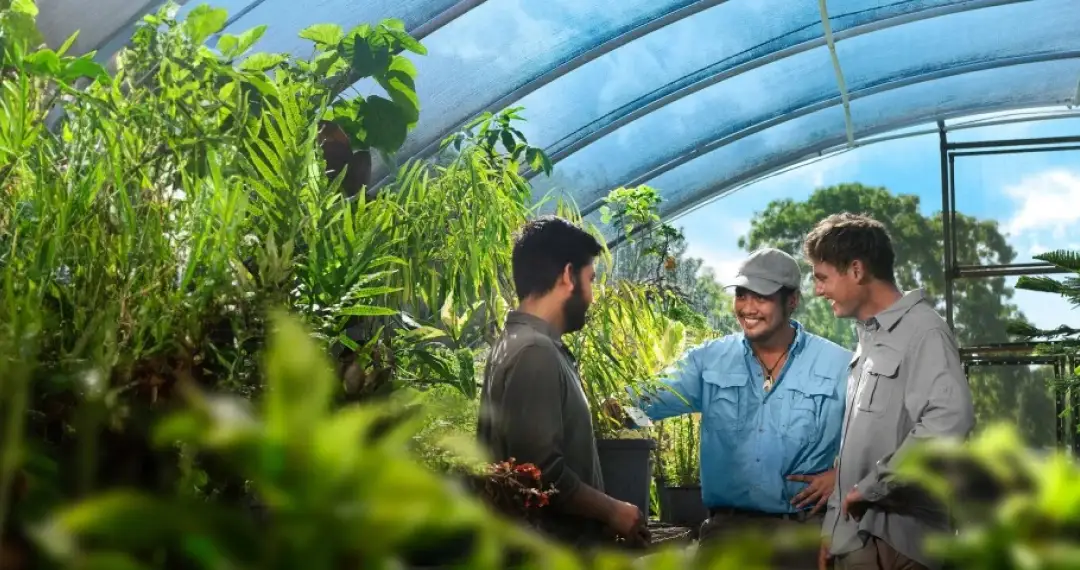 Step up your skills in agriculture with their provided facility