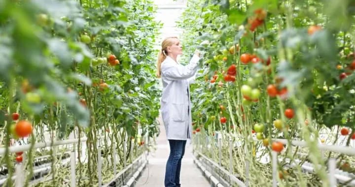 Develop a foundational knowledge of plant and animal sciences, agricultural systems, agribusiness, land and soil management