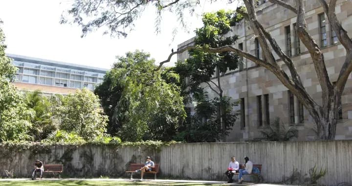 Alumni Court is a popular place for both students and staff to take a break and eat lunch.