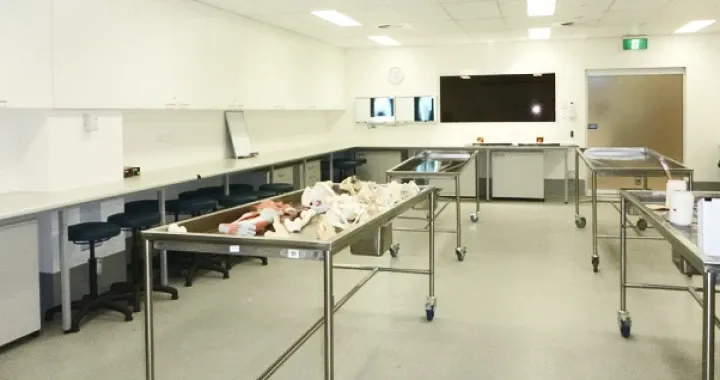Our Anatomy Facility includes three large teaching laboratories, a five place dissection room, and an embalming room