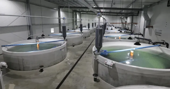 Aquaculture Facilities to position Victoria as a leader in sustainable fish production and aquacultural technology