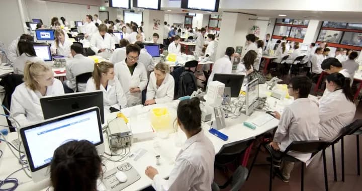 Students learning in one of the Biomedical Science Laboratories