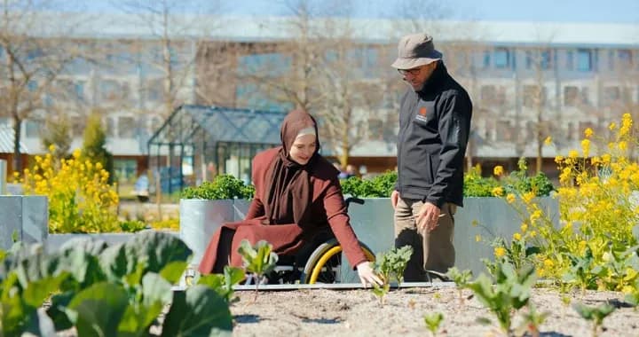 Important role to play in supporting the sustainable development of the food and agricultural sector