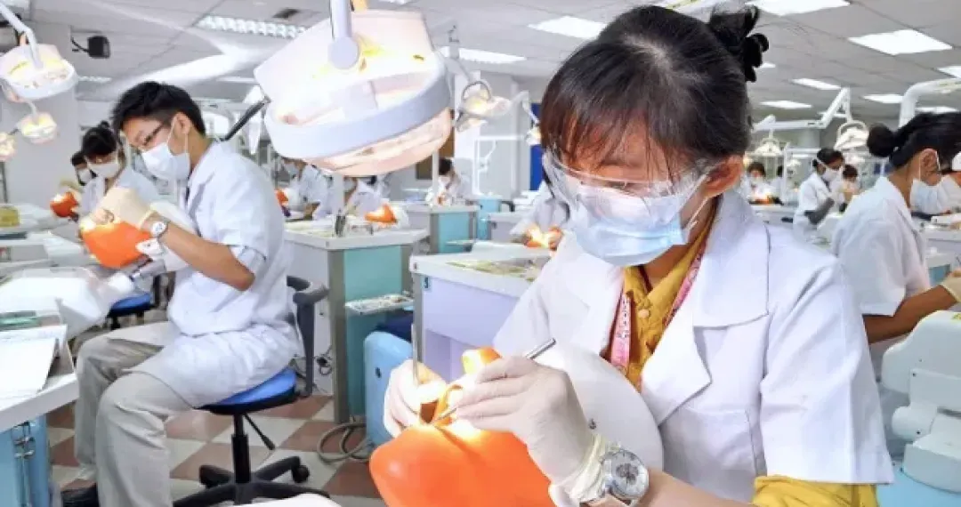 Dental Simulation Clinics designed for early‑stage hands‑on practice, simulation units mimic real dental operatories
