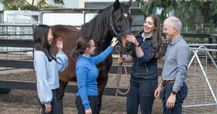 University of Melbourne Equine Centre