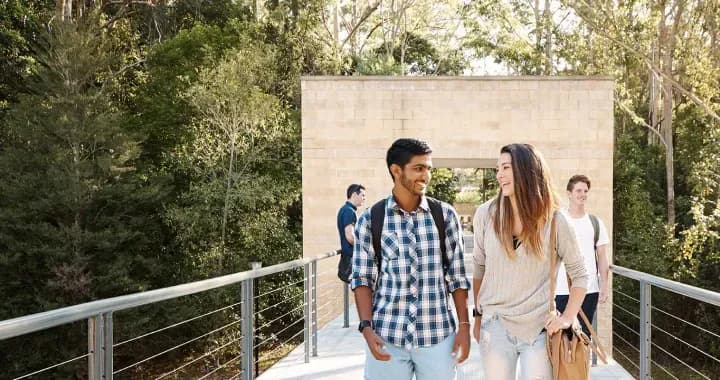 Forest Walk offers the bridge for you to stroll along amongst surrounding trees and lush greenery