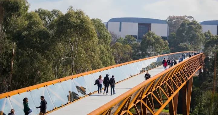 The Burwood Link is a crossing over the Gardiners Creek reserve between the Burwood Highway and Elgar Road