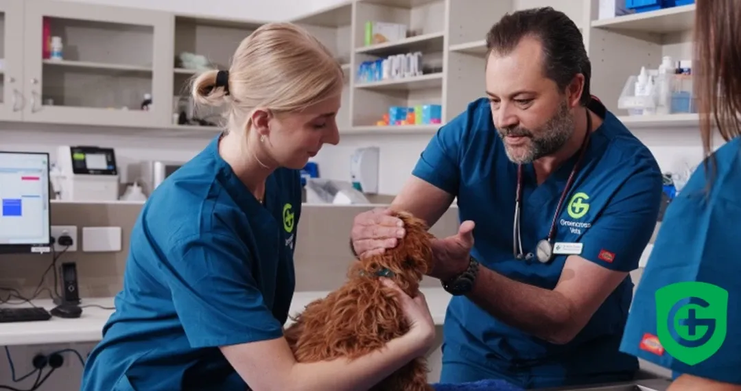 Greencross Veterinary Hospital
