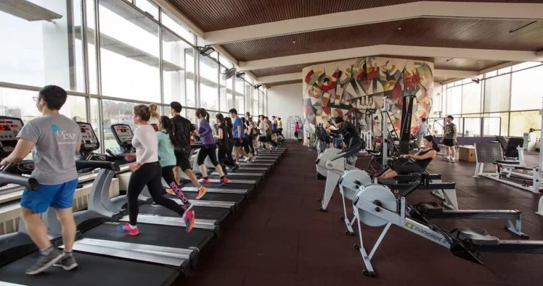 Gymnasium