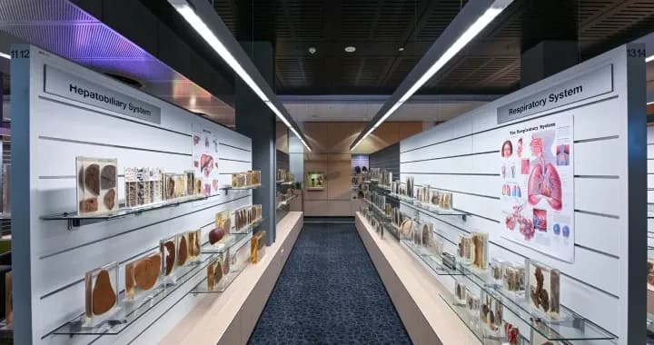 Human pathology specimens in the Integrated Pathology Learning Centre (IPLC)