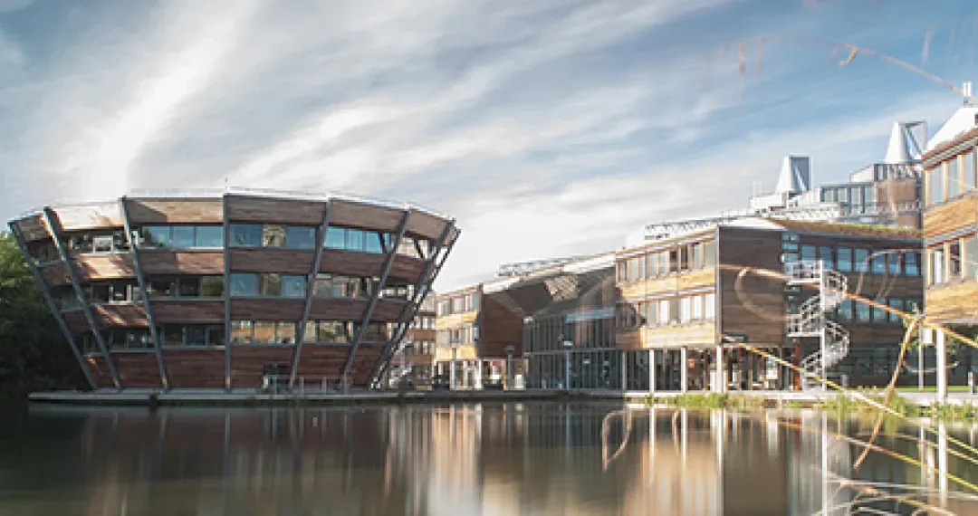 This award-winning campus include walks, parks and contemporary gardens to relax outside of lectures.