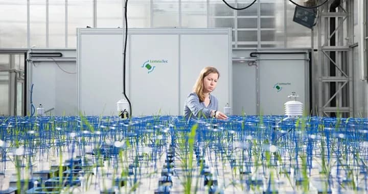 The Australian Plant Phenomics Facility & The Plant Accelerator for research in the fields of agriculture, food and wine