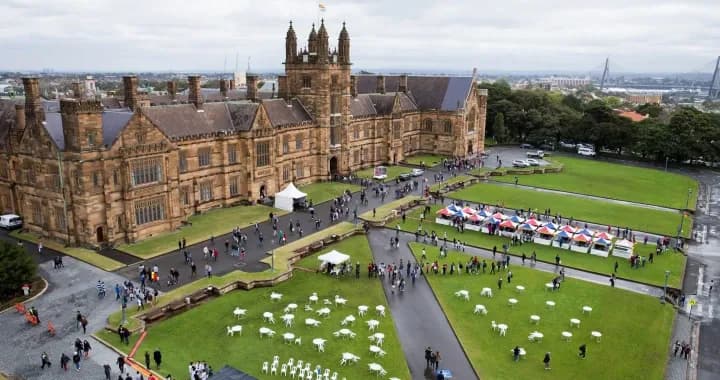 The Quad Lawn