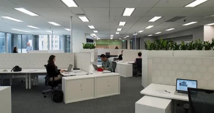 Particial and privately open to let student study quietly and productively