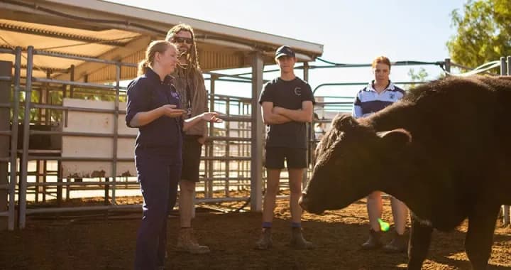 Roseworthy Farm