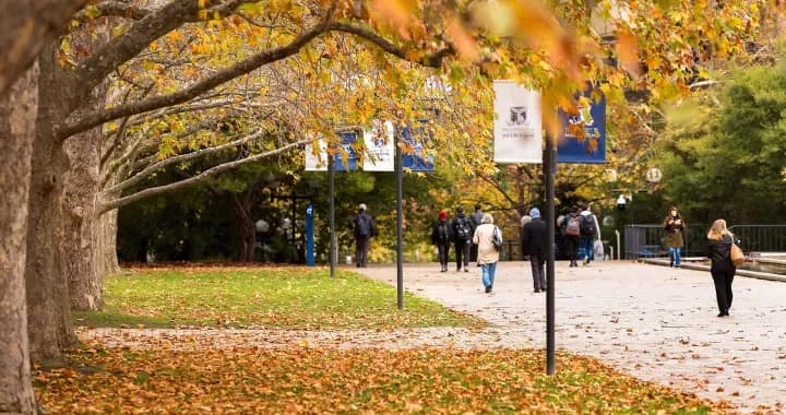 South Lawn in autumn