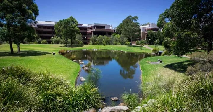 Sutherland duck pond, greenery is flourishing and preparing for us to return