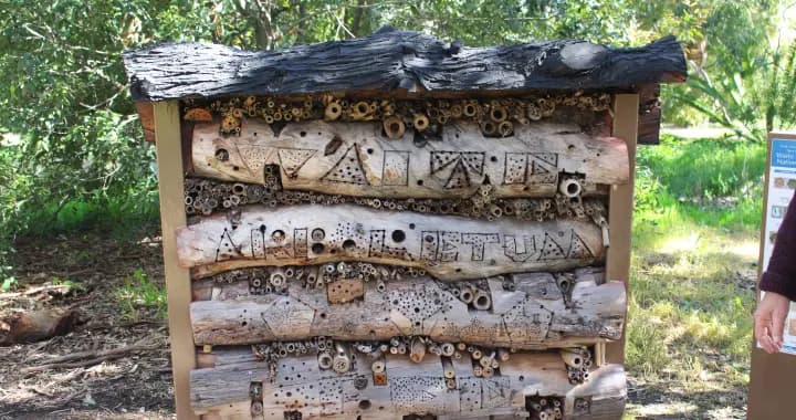 The Native Bee Hotel provides a great home for native bees