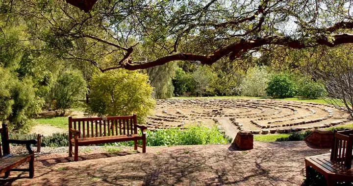 The Waite Arboretum Labyrinth to demonstrate and evaluate the suitability of a wide range of trees to the local environment